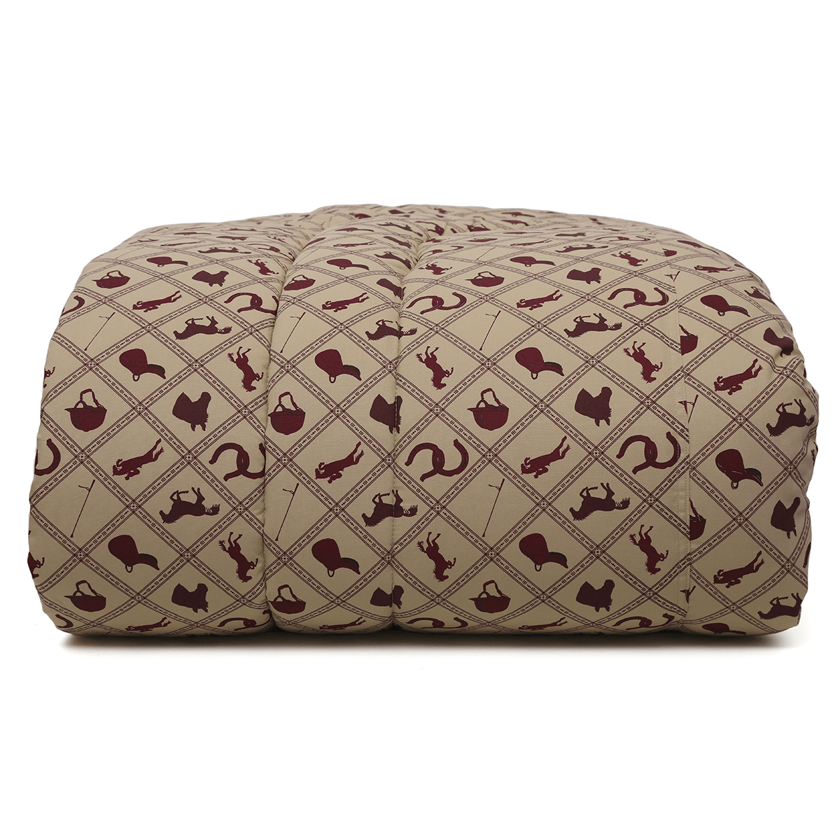 01070308_1320_1-EDREDOM-ALPHA-C