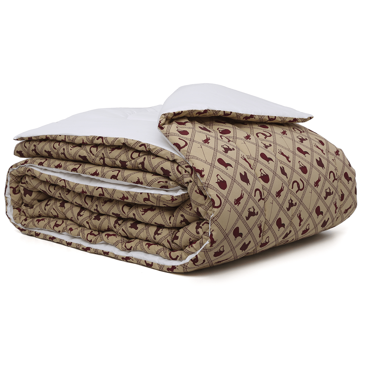 01070308_1320_2-EDREDOM-ALPHA-C