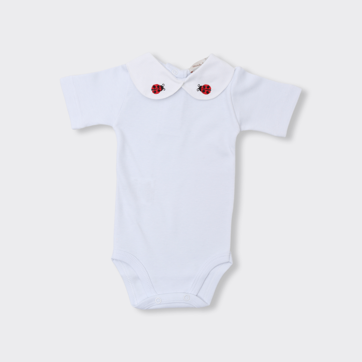 07040143_1530_1-BODY-LADYBUG