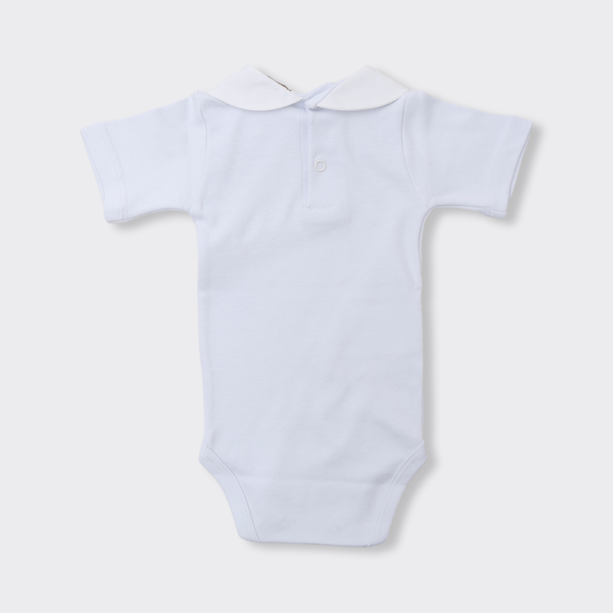 07040143_1530_2-BODY-LADYBUG