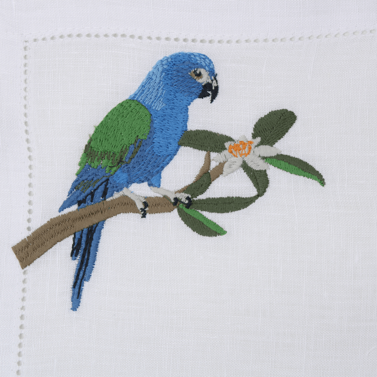 02060159_2107_3-LUGAR-AMERICANO-ARARA-AZUL