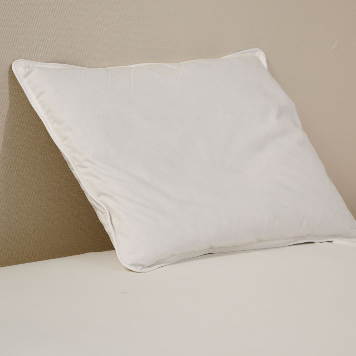 01-18-0023-Travesseiro-100--Pluma-30-x40-001